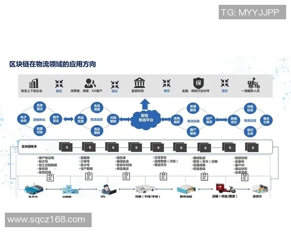 巴萨视频回放技术的应用与影响分析及未来展望