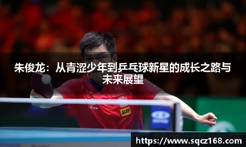 朱俊龙：从青涩少年到乒乓球新星的成长之路与未来展望